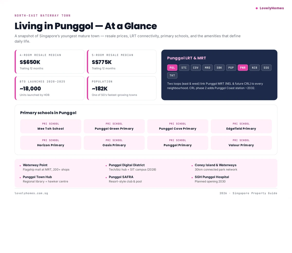 Punggol estate snapshot infographic