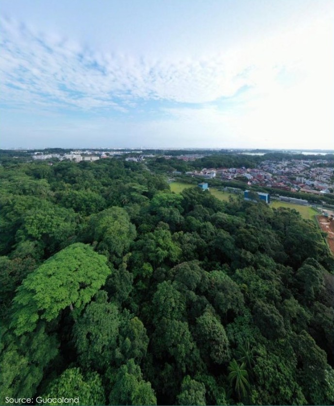 Springleaf Residence nature reserve view