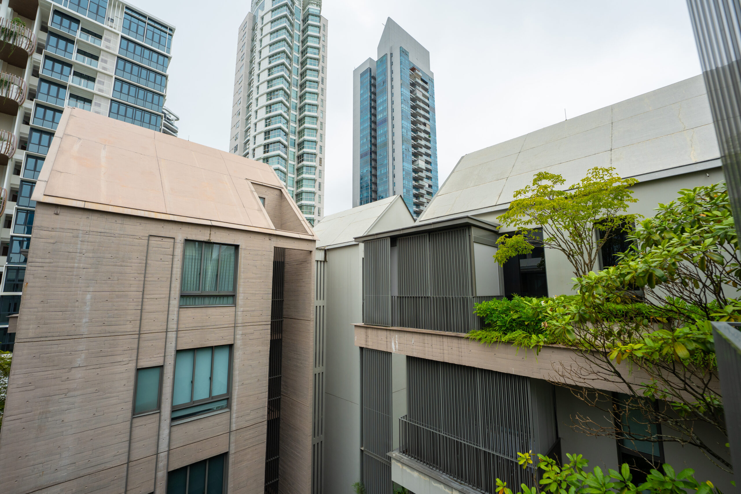 10 Evelyn landscaped courtyard view