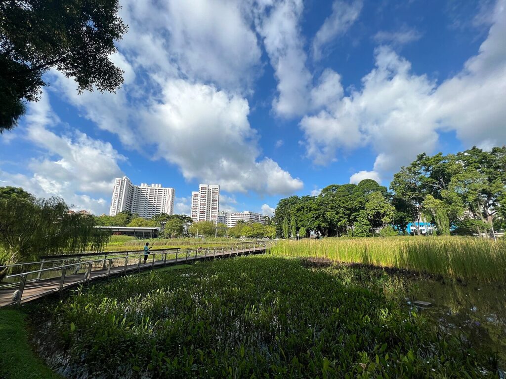 Pond gardens at Bishan-Ang Mo Kio Park