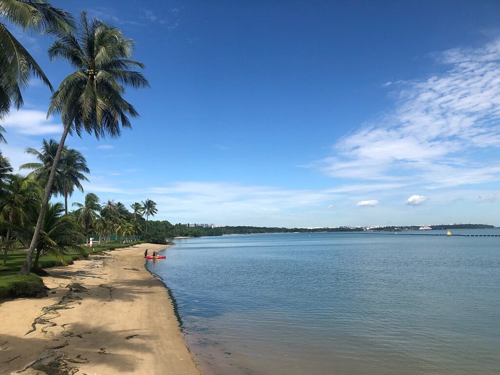 Beach at Pasir Ris Park